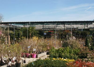 Arbuste Jardinerie Perigny Garden